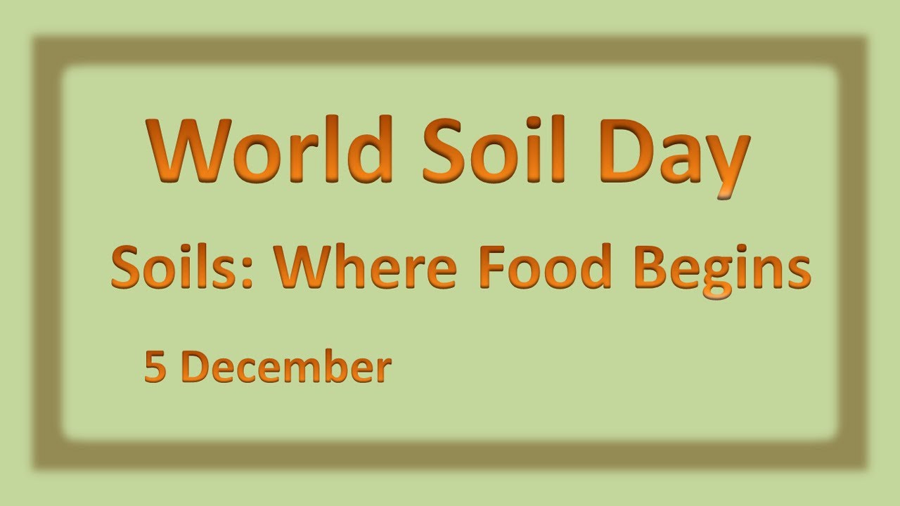 World Soil Day | World Soil Day 2022 | Soils where food begins
