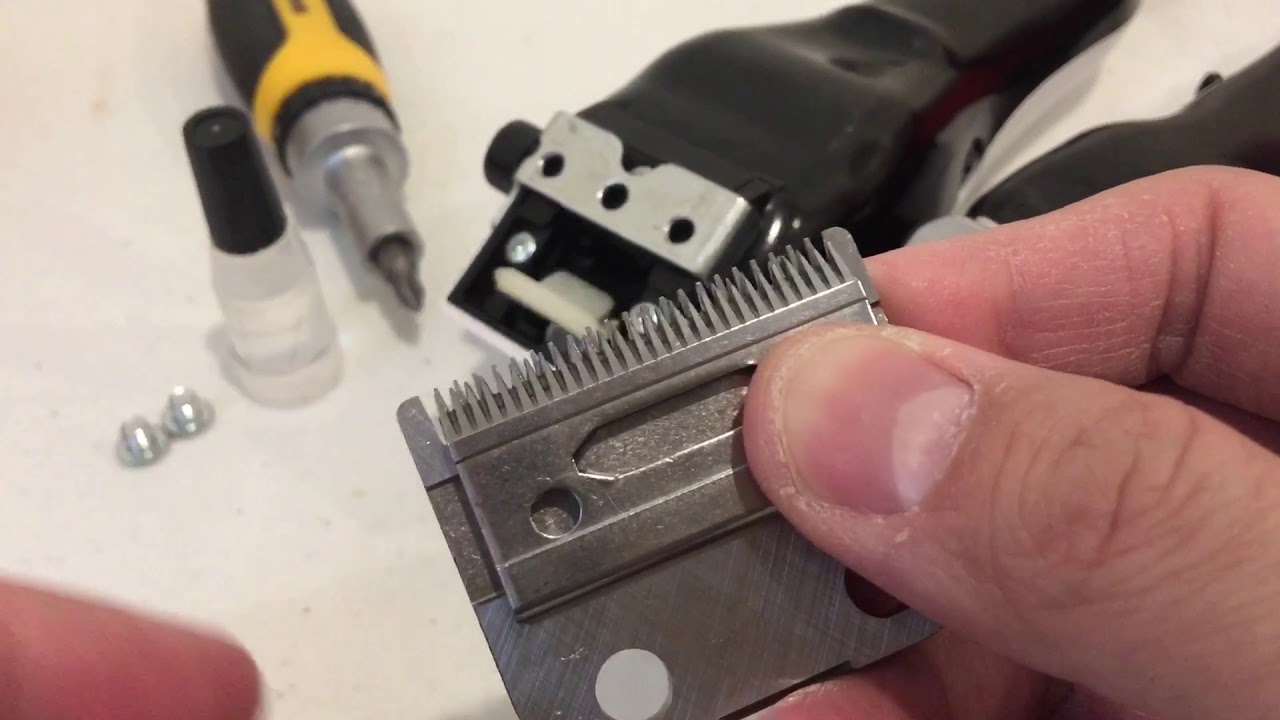 hair clipper assembly