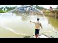Net Fishing - Fishing Everyday Around Lake for Food