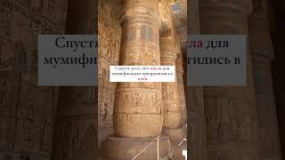 Разгадка проклятия фараона #египет #путешествия2022 #фараоны #тутанхамон
