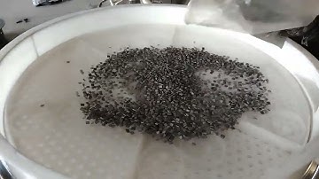 Linear Vibrating Screen For Plastic Particles