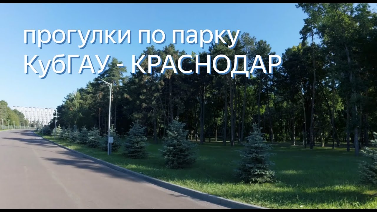 Краснодар гулять