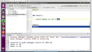 黑马程序员 Python 教程： 239 全局变量 04 单步调试确认局部变量的定义