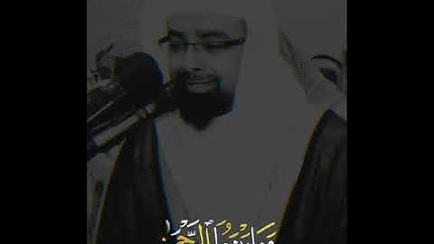 تلاوة خاشعة مبكية شيخ ناصر القطامي