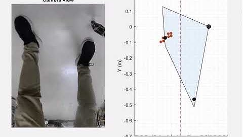 Real Time Base of Support Estimation Using a Millimeter Wave Radar