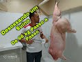 COMO DESOSSAR UM SUÍNO INTEIRO (66kg)