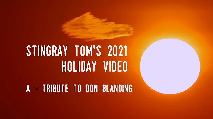 Stingray Tom's 2021 Holiday Video. A Tribute to Do...