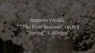 Video thumbnail of "Vivaldi : The Four Seasons "Spring" 1st 　ｳﾞｨｳﾞｧﾙﾃﾞｨ:協奏曲集"四季"から ｢春｣ 第1楽章"