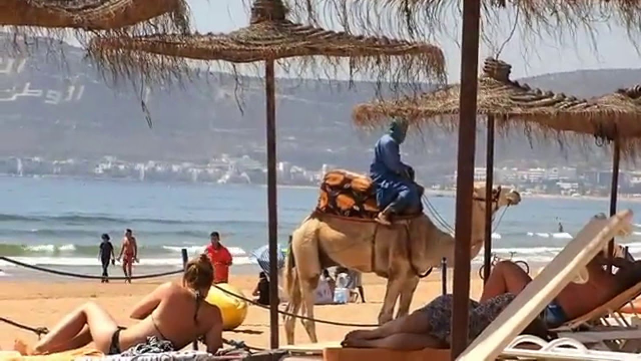 RÃ©sultat de recherche d'images pour "iberostar founty beach agadir photos"