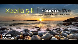 Sony Xperia 5 II Cinema Pro Mode Footage | Cinematic 4K