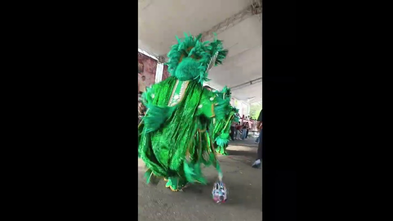 Fieras carnaval vegano 🦁🐯🇩🇴