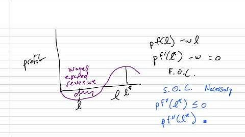 Profit Max Single Variable Part 2