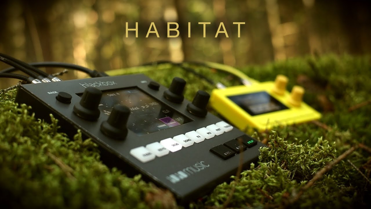 habitat  1010music blackbox & lemondrop  ambient - YouTube