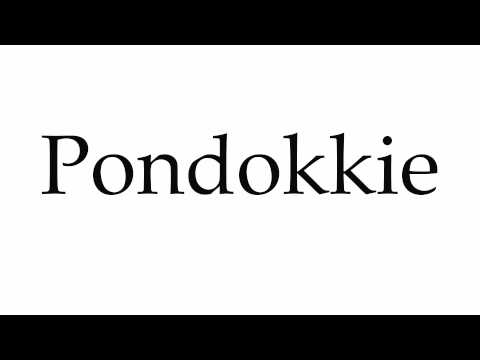 Видео: Что такое pondokkie на африкаанс?