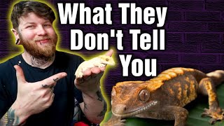 What You Need To Know Before Breeding Crested Geckos [Top 5 Essential Tips]