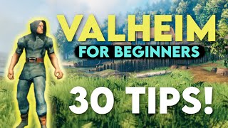 Valheim  30 Tips and Tricks for New Players!