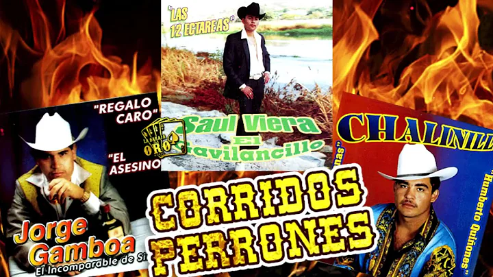El Chalinillo, Saul Viera, Jorge Gamboa Epoca Pesa...