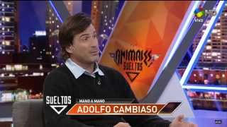 Animales Sueltos: 12-12-2014