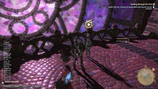 Leafing through the Past: Survey the Designated Location – MSQ | Final Fantasy XIV PS5