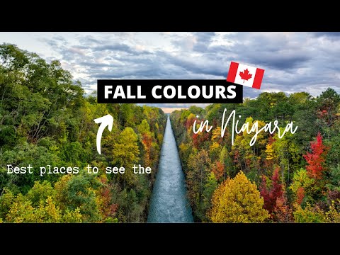 Video: Tempat Terbaik untuk Melihat Dedaunan Musim Gugur di Kanada