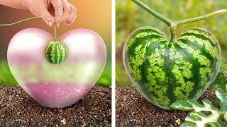 Descubra novos truques de jardinagem 🥕🌱🌷 Ideias para ter flores e vegetais em abundância