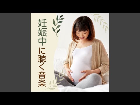 Obejrzyj 赤ちゃんの成長 w YouTube