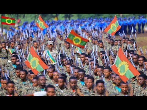 Dubii Jajjabduu Yerro Amma Dema Jirrtu November 1 2025