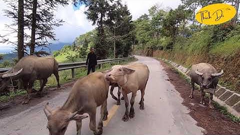 Đường quốc lộ 4C  từ Yên Minh đi Mèo Vạc - Con đường Hạnh Phúc