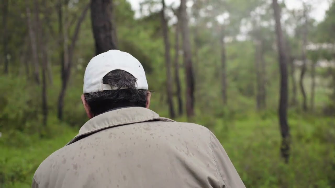 Mon père et sa mélancolie | Xiaodan He - Dès le 3 juin à la 