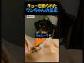 ワンチャンのチューを断ったら?