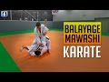 2 balayages karate sur mawashi geri avec lionel froidure