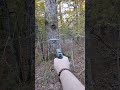 Shooting a Taurus G2S one handed