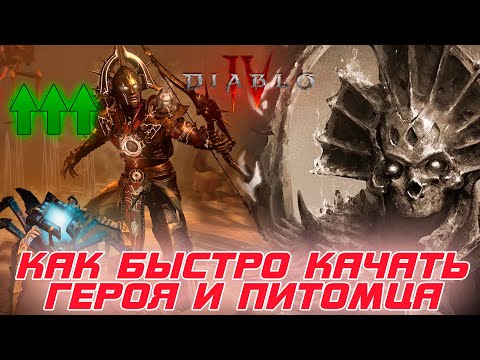Видео: Diablo 4 - Как быстро качаться в 3-м сезоне самого героя и так же быстро питомцев (все его навыки)