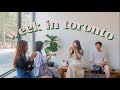 TORONTO, AND FRIENDS ⁄⁄ CatCreature