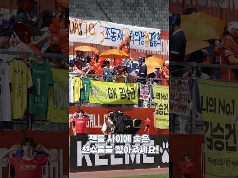 팬들 사이에 숨은 선수들을 찾아주세요!