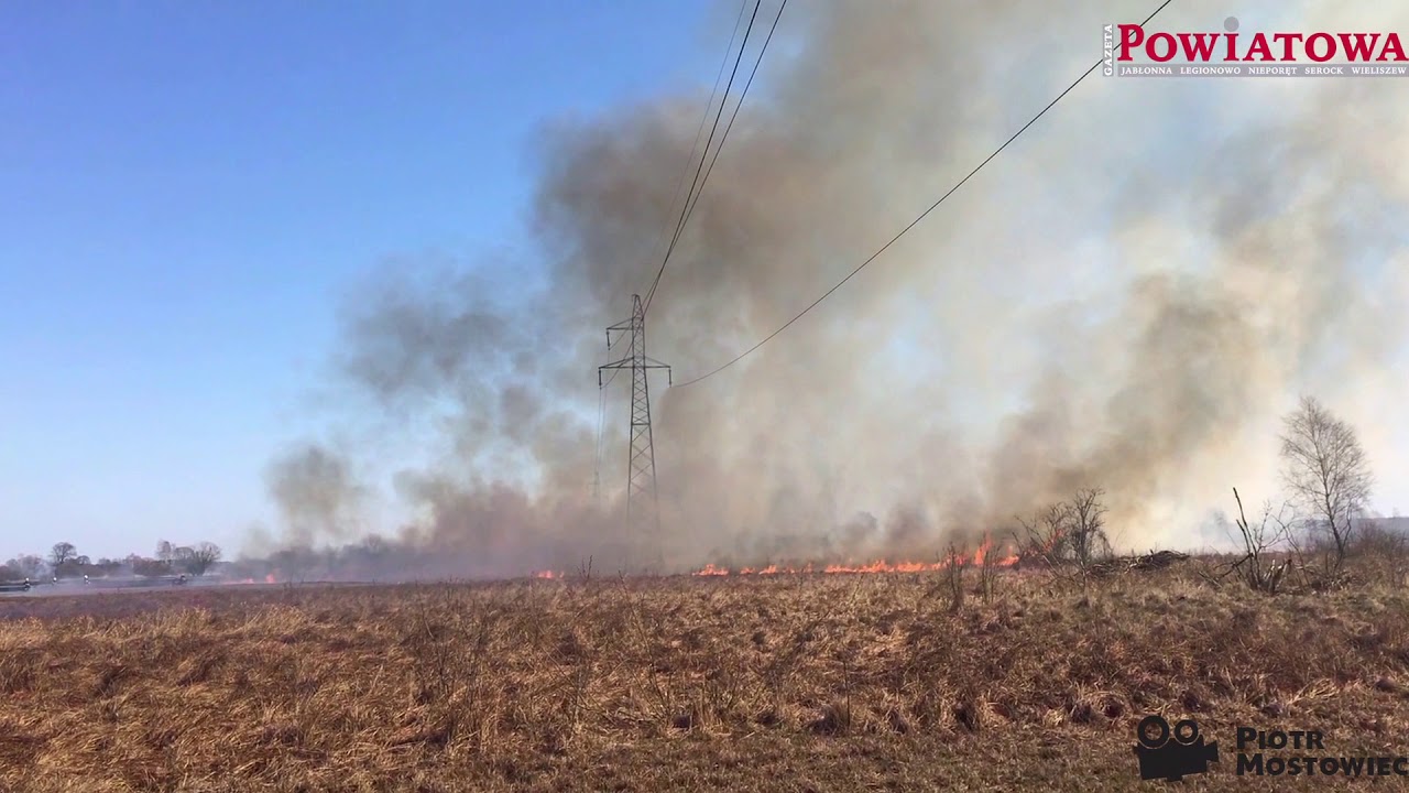 Wieliszew. Duży pożar traw w Krubinie