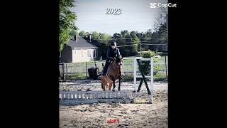 Glowup #glowup #trailride #jumping #flatwork #horsefarm #horse