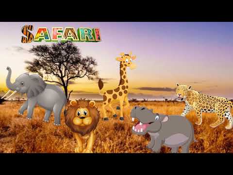 cancion safari africa