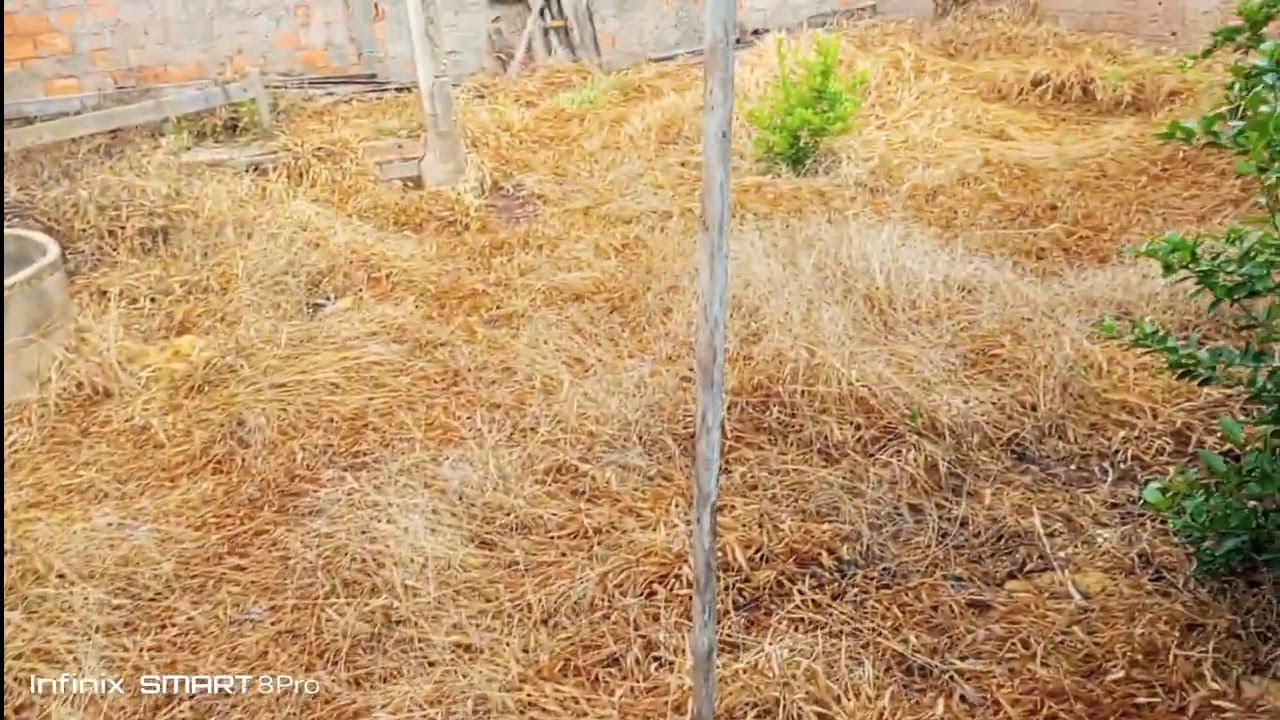  Será que vale apena jogar esse produto? 