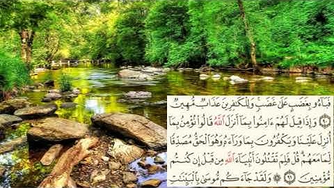 سعد الغامدي -سورة البقرة صفحة -14- (page (alba9ra