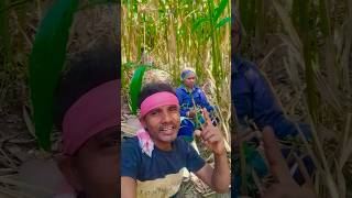 sedai renang katha gati # #newsantali #short  #santali #ai #song #viralshorts