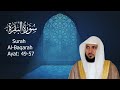 Surah Al Baqarah Maher Al Mu Aiqly Page 8 Ayat 49 57 Quranrecitation Qurantilawat
