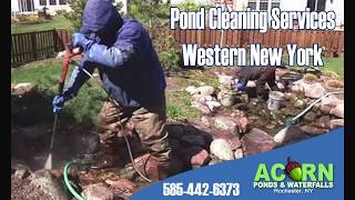 Spring Koi Pond Maintenance & Cleaning Contractors-Rochester NY - Acorn  Ponds & Waterfalls