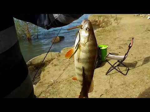 თევზაობა ტბებზე 2020