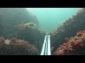 Подводная Охота на Кутума