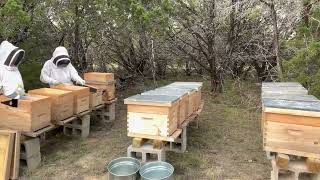 2023-04-26: Hive inspections in a minute.