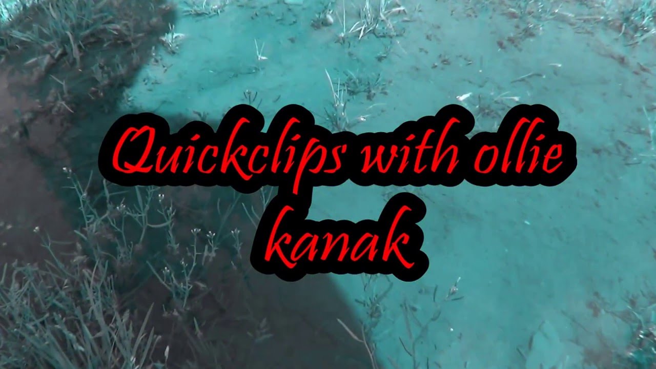 Quick clips with ollie kanak
