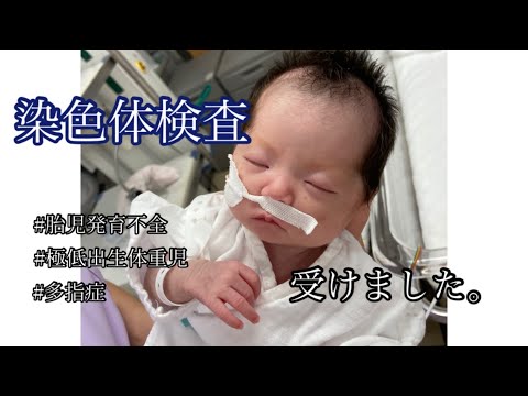 【極低出生体重児】ピナちゃん【染色体検査】の結果が出ました