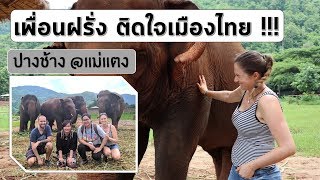 เพื่อนต่างประเทศ ติดใจเมืองไทย มาเที่ยว Elephant Nature Park เชียงใหม่ ฝึกภาษาอังกฤษ