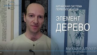 видео: Элемент дерево | Система первоэлементов картинка: Элемент дерево | Система первоэлементов